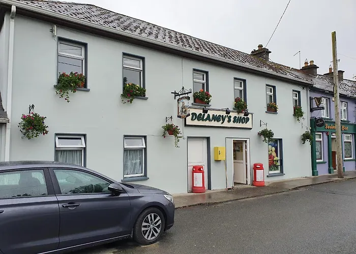 Seanie's Tullaroan (Kilkenny)